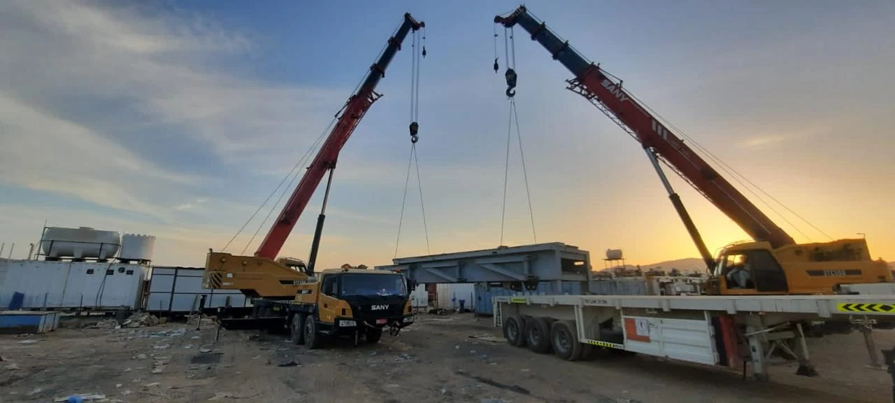 Two cranes at sunset